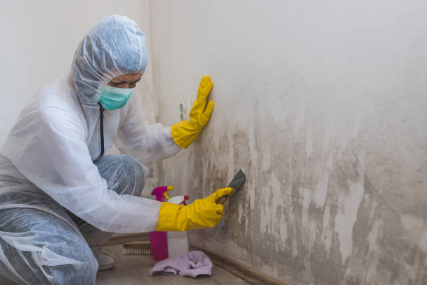 Best Crawl Space Mold Removal  in Venice, FL