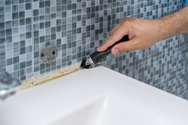 Best Emergency Mold Removal  in Venice, FL